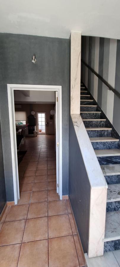فيلا Casa Da Rua Da Fonte فيريرا دو ألينتيخو المظهر الخارجي الصورة