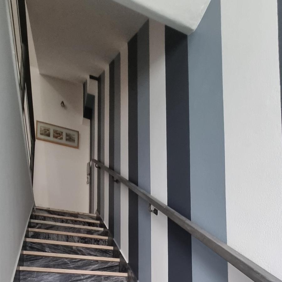 فيلا Casa Da Rua Da Fonte فيريرا دو ألينتيخو المظهر الخارجي الصورة